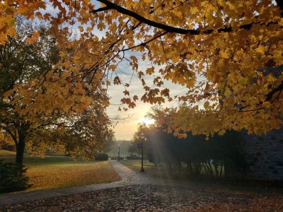 Fall trees near Williams Hall