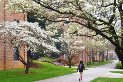 spring flowering trees on campus